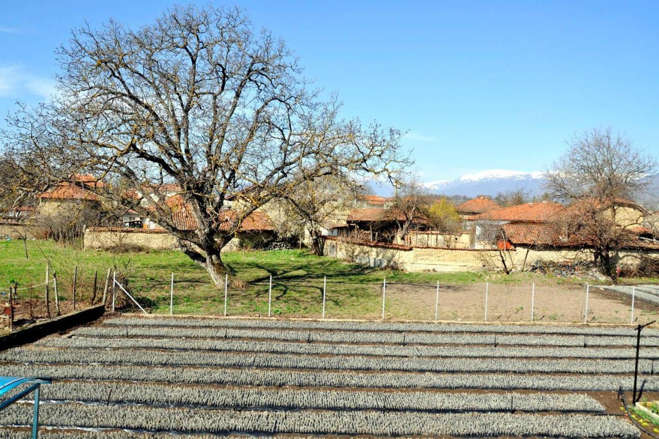 Vila V S. Gabarevo, Dolinata Na Rozite. Villa Kültér fotó