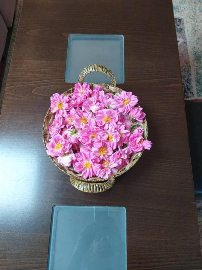Вила В С. Габарево, Долината На Розите. Gabarevo Kültér fotó