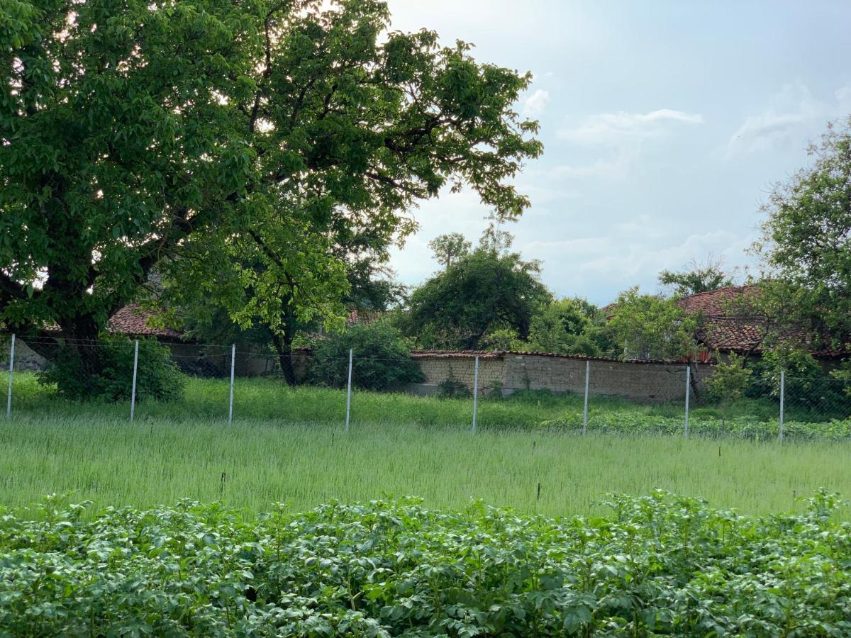 Vila V S. Gabarevo, Dolinata Na Rozite. Villa Kültér fotó